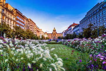 Fototapeta premium Wenceslas Square in Prague