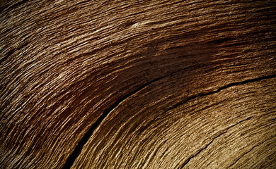 Wood texture