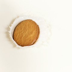 Obraz na płótnie Canvas A single biscuit dropped into milk causing a splash.