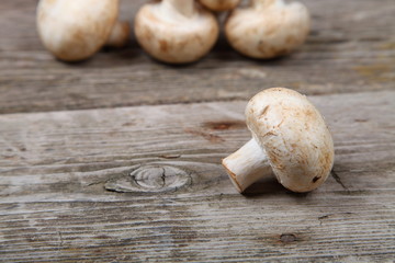 Mushrooms