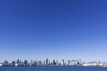 Obraz premium 東京都市風景 東京タワーと東京都市全景 超広角