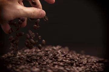 Tuinposter Hand grabbing coffee beans. © Rob D