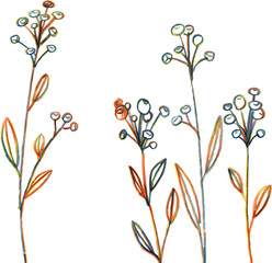 Line drawing flowers and grass