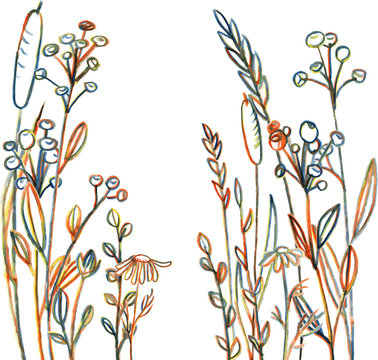 Line drawing flowers and grass