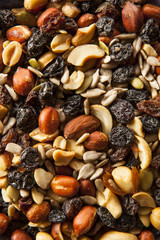 Raw Organic Homemade Trail Mix
