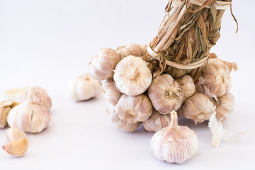 Garlic on white Background