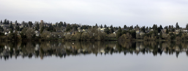 Reflections on Green Lake