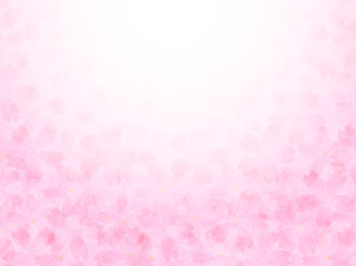 桜　花　背景