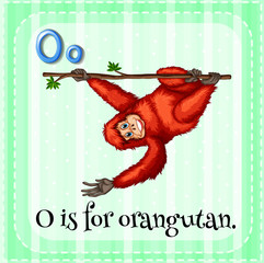 Letter O