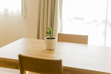 テーブルの上にある観葉植物