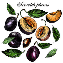 Set with beautiful ripe plums and leaves