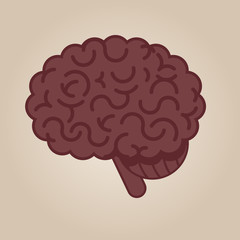Brain illustration