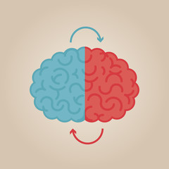Left & right human brain illustration