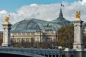 Alexander III bridge and the Grand Palace in Paris