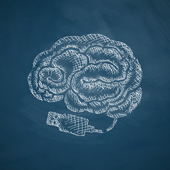 brain icon
