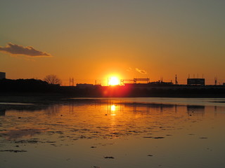 谷津干潟の夕陽