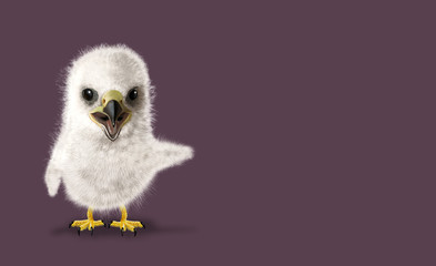 Fototapeta premium Funny Eagle chick