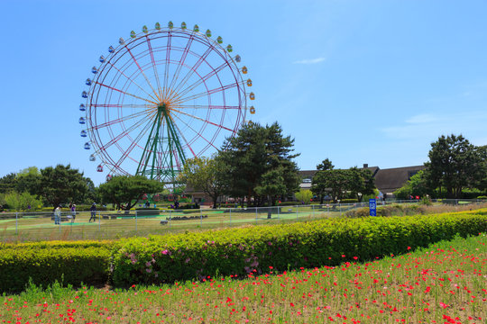 Ferries wheel at the Hitachi Seaside Park in Hitachinaka city, I