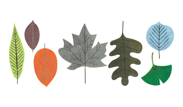 leaves2