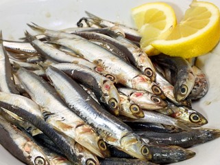 dish with fresh little sardines just fished and lemon