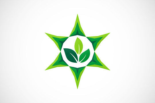 Ecology Green Leaf Star Logo