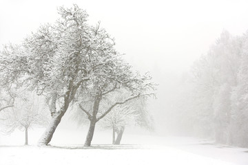 Winterliche Landschaft