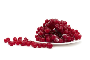 Frozen red viburnum berries on the plate. Photo.