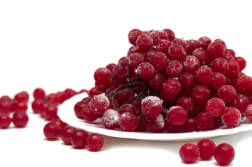 Frozen red viburnum berries on the plate. Photo.