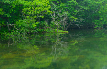 Tsutanuma Pond in Towada-Hachimantai National Park, Aomori, Japa