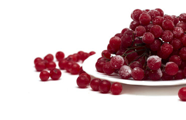 Frozen red viburnum berries on the plate. Photo.