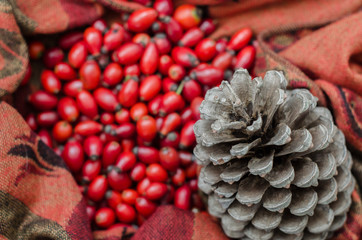 Fototapeta premium Rose-hip berries on fabric terracotta color and a pinecone