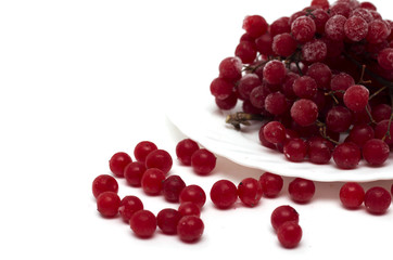 Frozen red viburnum berries on the plate. Photo.