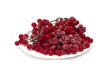 Frozen red viburnum berries on the plate. Photo.
