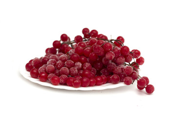 Frozen red viburnum berries on the plate. Photo.