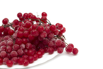Frozen red viburnum berries on the plate. Photo.
