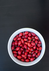 Closeup of rose-hip berries in white bow with black background