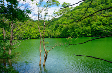 Juni Lakes in Shirakami-Sanchi in Aomori, Japan