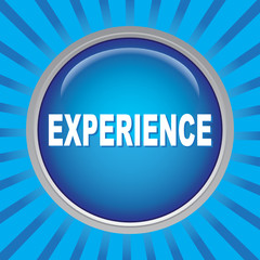 EXPERIENCE ICON