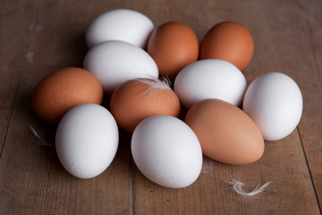 Bioeier