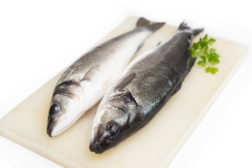 Spigole fresche