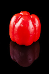 Rote frische Paprika mit Spiegelung