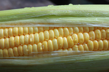 Close up shot of Water Drop on Corn