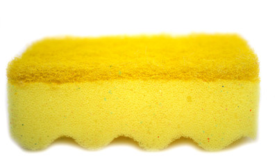 Colored sponge for washing. Photo.