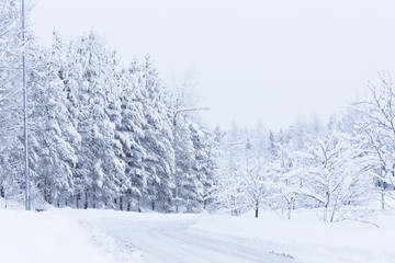 Snow landscape and road