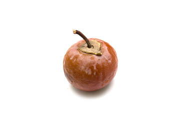 Brown persimmon on a white background. Photo.