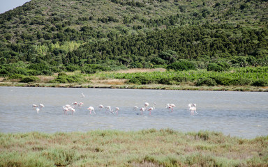 Is Solinas, Masainas - Sardinia
