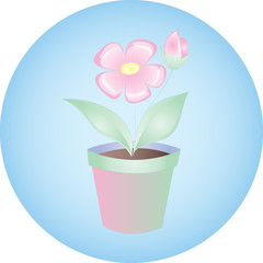 home plant in pot pastel colour
