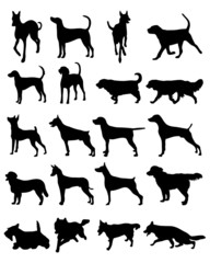 Silhouettes of different breeds of dogs, vector