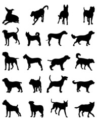 Silhouettes of different breeds of dogs, vector