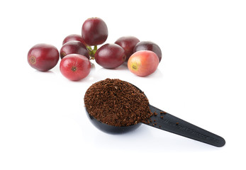 coffee berry ,coffee beans and coffee powder on white